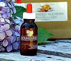 Boundaries Essence - Wellbeing strengthened